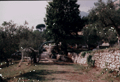 sentier.gif (19192 byte)